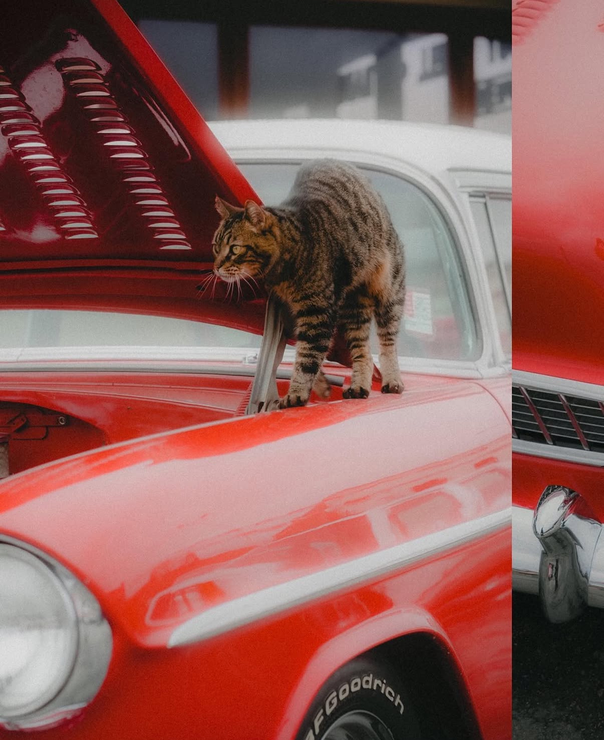 Automotive Photography